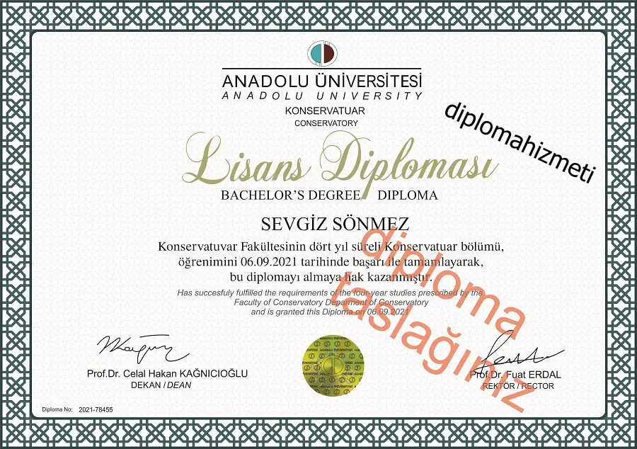 Diploma PDF Örnekleri ve Formatı İndir