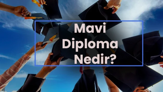 diploma hizmeti