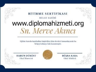 www.diplomahizmeti.org