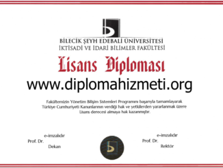 www.diplomahizmeti.org