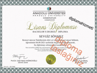 www.diplomahizmeti.org