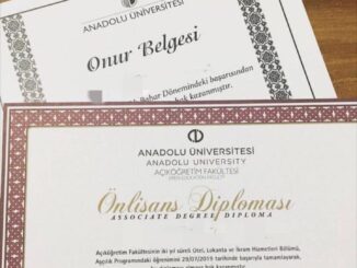 diplomahizmeti - gerçek diploma satın al